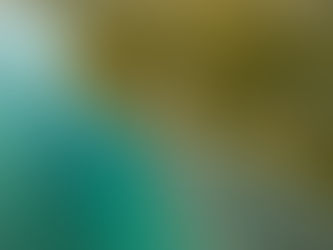 Changement climatique : les populations insulaires face aux risques