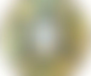 Vers un nouveau dispositif de protection des données à caractère personnel de militaires