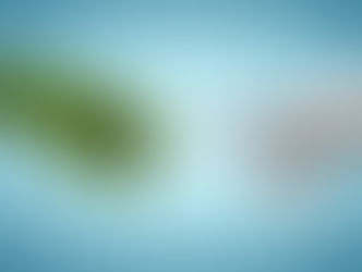 Numérique éthique et éducation : engageons-nous pour les générations futures !