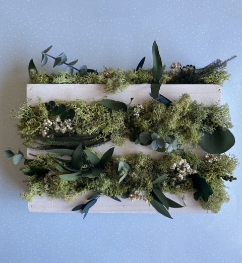 Miniatura: Jardín vertical preservado