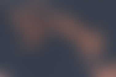 MMA-אימון, פרוטאינים ומה שבניהם- תזונה ו