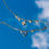 Miniaturbild: Cloudy - Vergissmeinnicht Armband