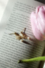 Ohrringe mit Blumen, gold