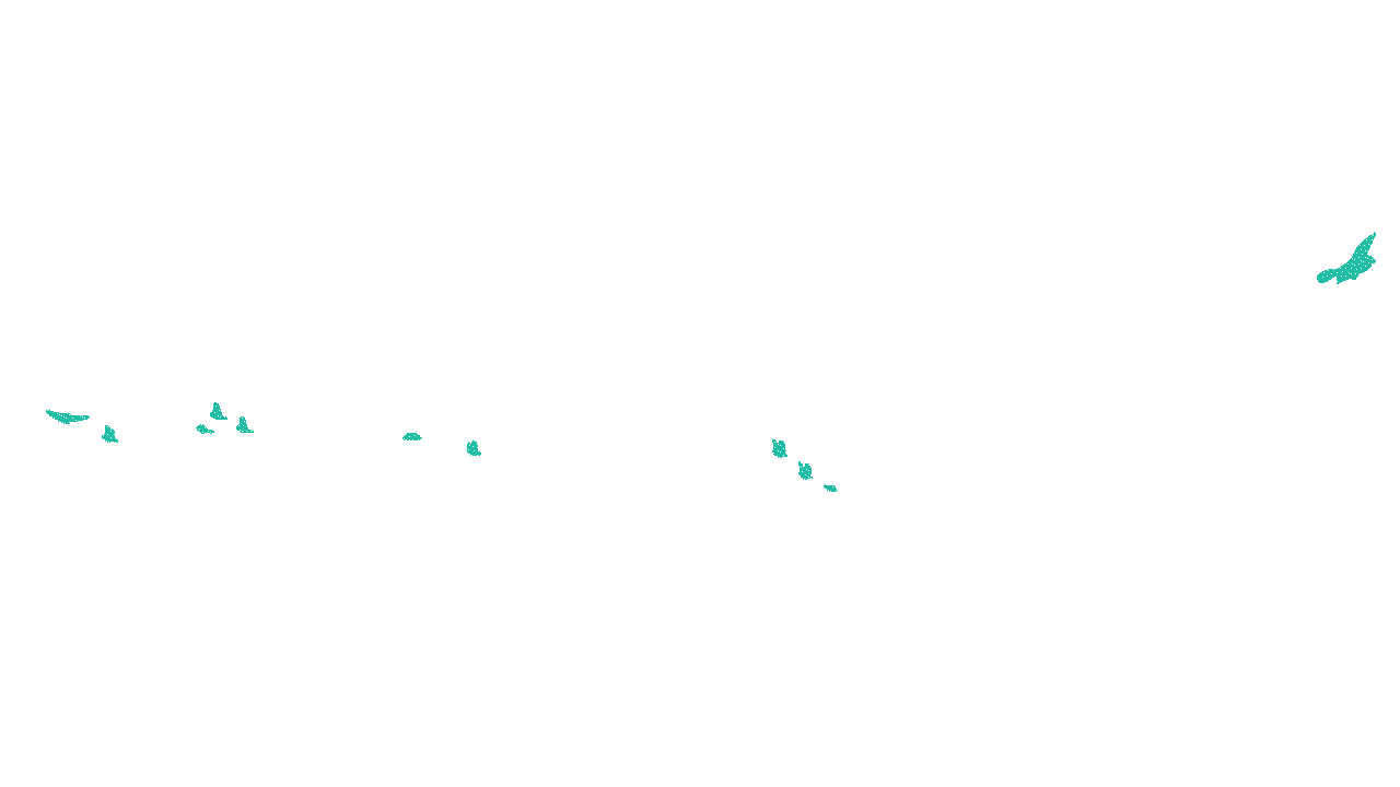 uccelli.gif