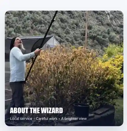 Wizard of Windows window cleaning with a water-fed pole