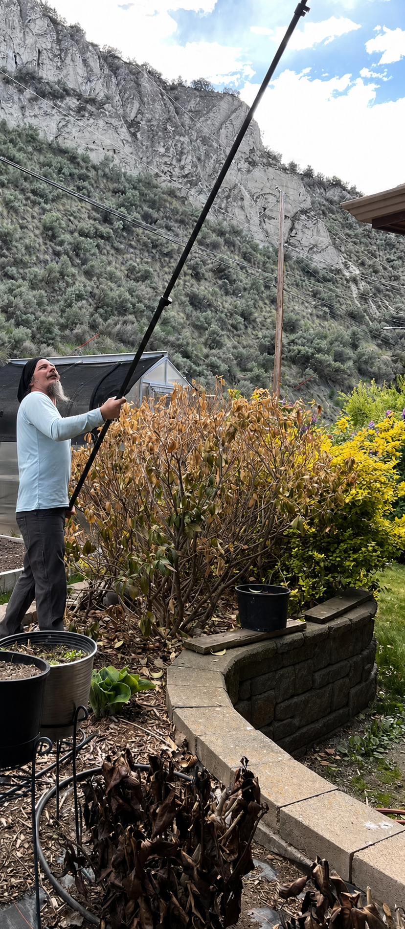 Wizard of Windows window cleaning with a water-fed pole