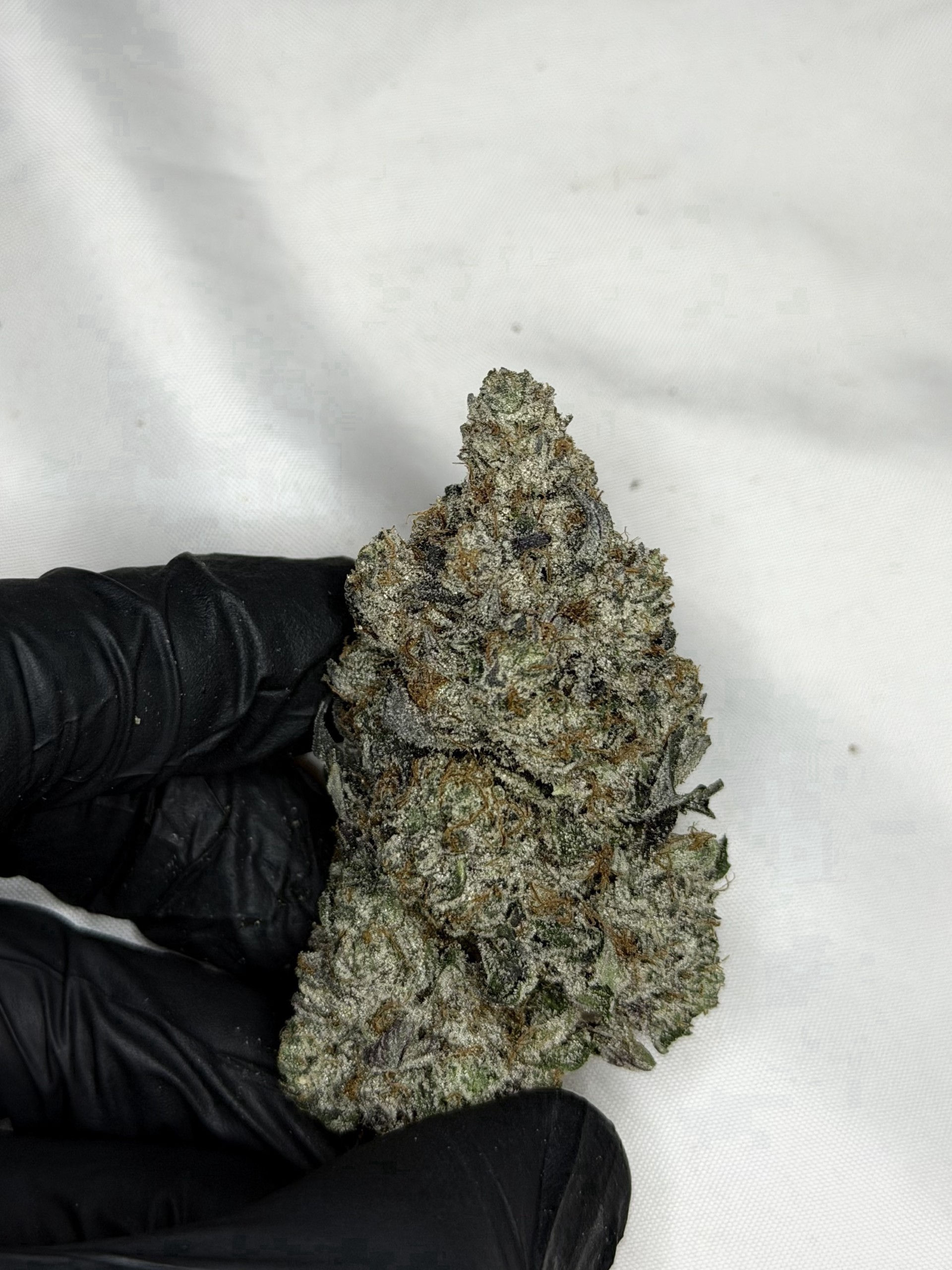Pink biscuit $125/oz