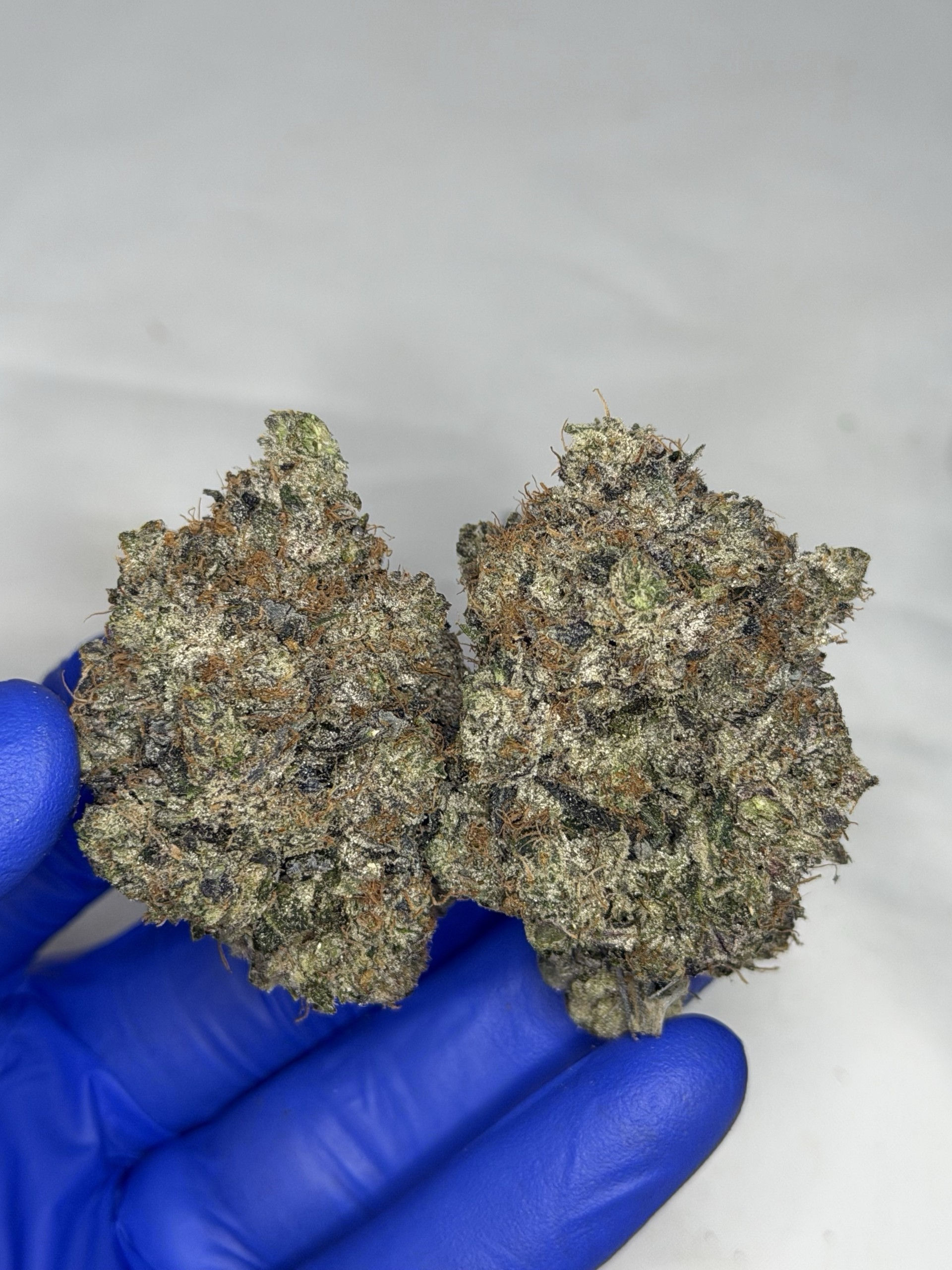 Pink Gak $135/oz