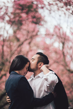 Festa das cerejeiras campos do jordã