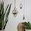 Thumbnail: Geo-Metal Air Plant Hanger