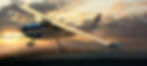 Sunset Flight.jpg