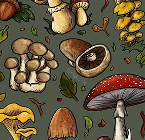 Woodland Mushrooms ©2020 Chelsea Routhier.jpg
