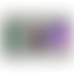 Polyflowers // Technocolor: Exhibition with V. Leissring at Photoszene United Festival in Cologne 