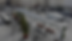 Canopée Urbaine_Saint Lazare.png