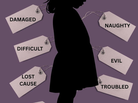 Every Child Deserves to Be Seen: Understanding Care-Experienced Children