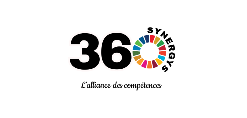 SYNERGYS 360