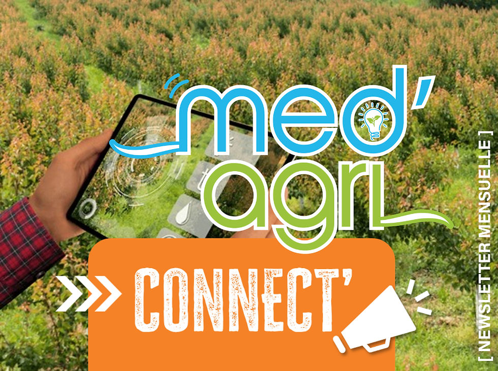 medagri connect_edited.jpg