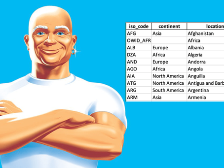 Mr. Clean, but with Datasets
