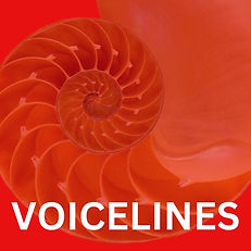 Voicelines Logo