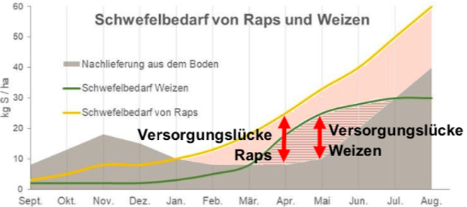 Flyer_Schwefelwert_FINAL_pdf__Seite_2_vo