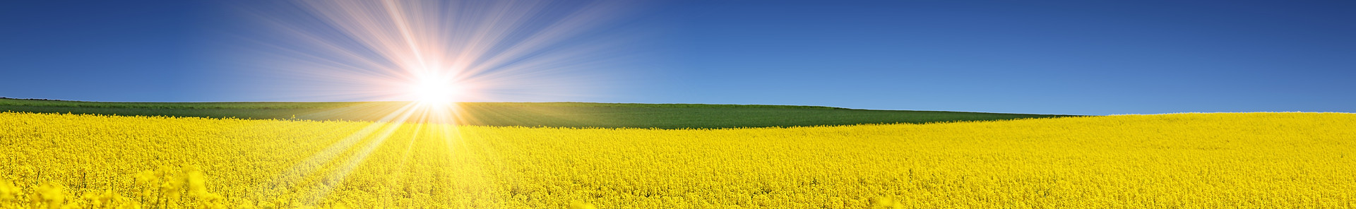 Fotolia_83517212_M.jpg