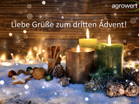Weihnachten steht kurz vor der Tür!