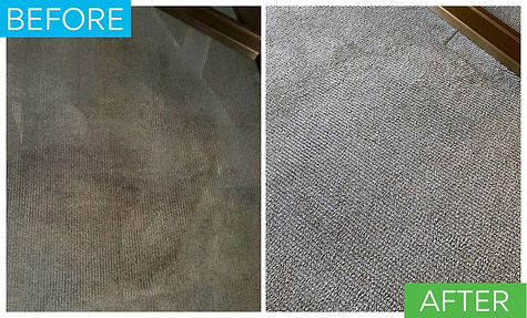 Before and after carpet had a really dark brown stain and after stain removal is restored.