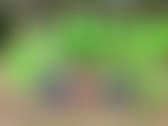 Année 2025-2026 ... lancée!