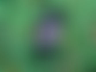 Apple Watch Ultra 3 Review (Singapore): One of the Most Versatile Smartwatch Options for Athletes, Marathoners & City Runners