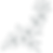 RACHEL HIRT ART GRAPHIC 1_edited.png