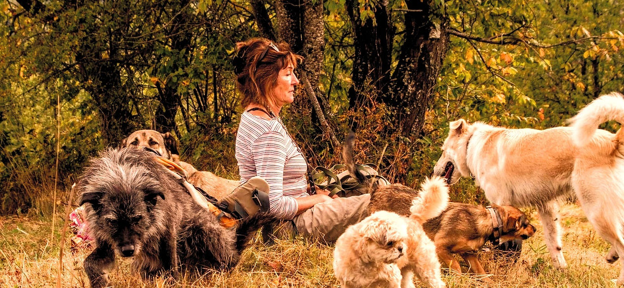 Candy and the pack