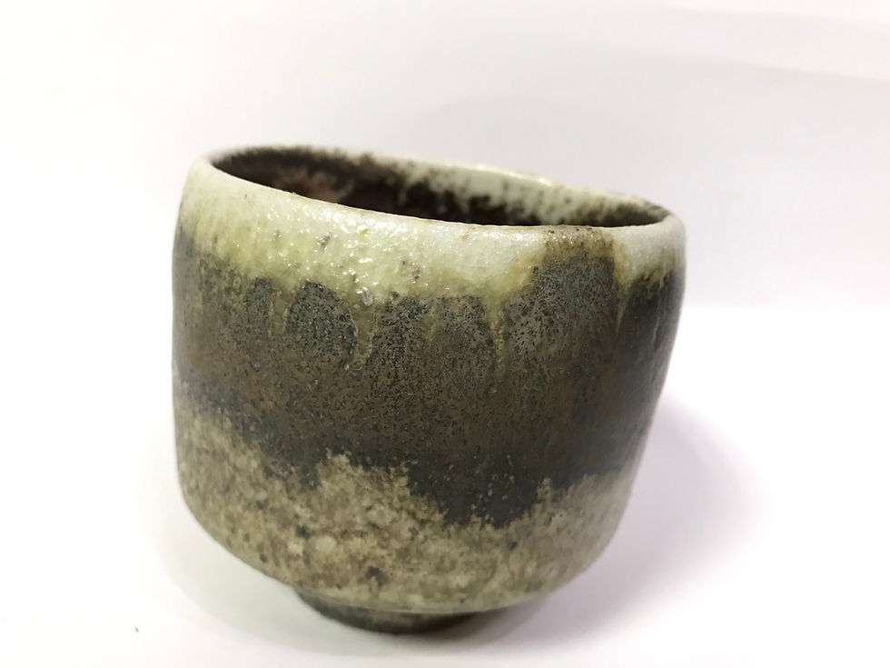 S__21274751