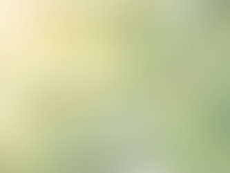 אווירת החגים: סיום, התחלה והתחדשות