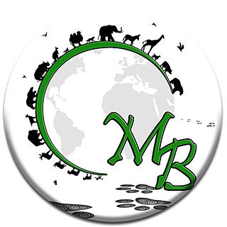 Foto del escritor: Mundo Bichero