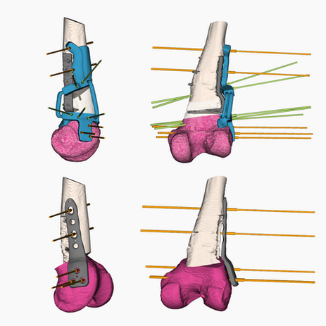 A great feedback from Dr. Sigrist