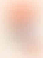 Lyndon Academy Food Drive 2025