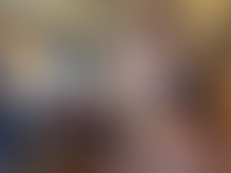 Prefeitura de Pedras Altas discute projetos de energia eólica em reunião com comunidade e empresa multinacional