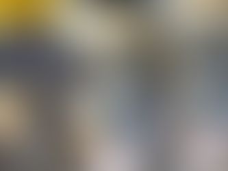 Mais de 600 tartarugas tigre-d’água são apreendidas em carro no Rio Grande do Sul