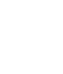 butterfly.png