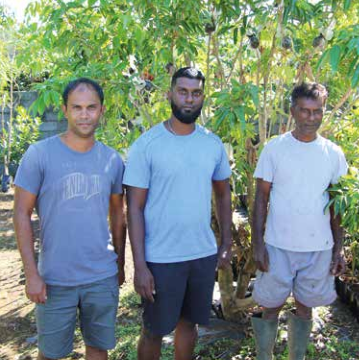 Famille Talamé, de la pépinière Tailamé, experte en agrumes à la Réunion