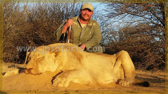 mark lion 1 of 1-606.jpeg