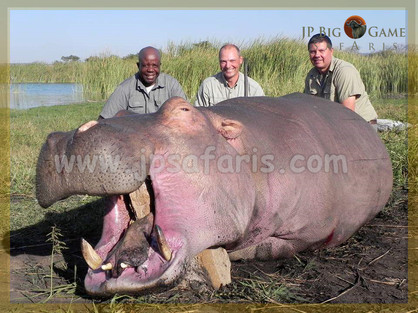 jochen hippo 1 of 1-850.jpeg