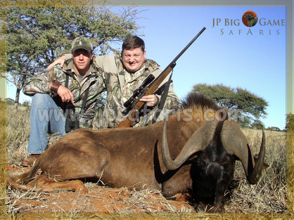 vadim swart wildebeest 1 of 1-4418.jpeg