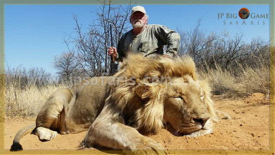 Tom Lion watermark 1 of 1-1051.jpeg