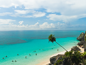 Website Content Stayinmex.png