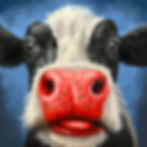 Street Art Masterclass - Koe