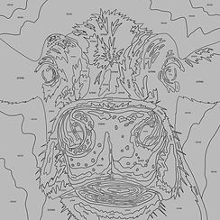 Koe canvas schilderen op nummer_edited.jpg