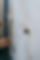 pexels-blue-bird-7218011.jpg
