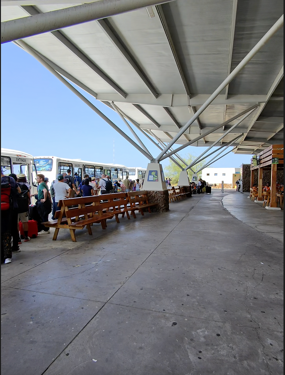 bus route
