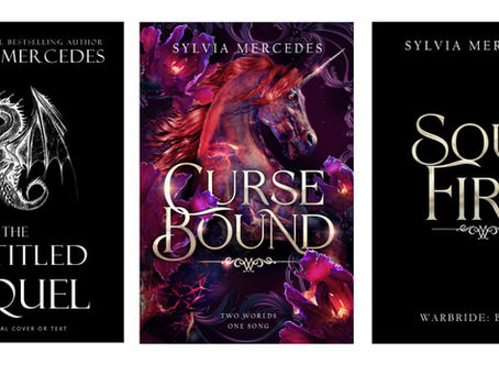 In which I accidentally write another novel before the end of 2025